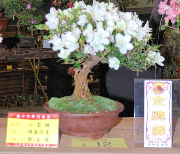 DSC_8292.jpg DSC_8292.jpg