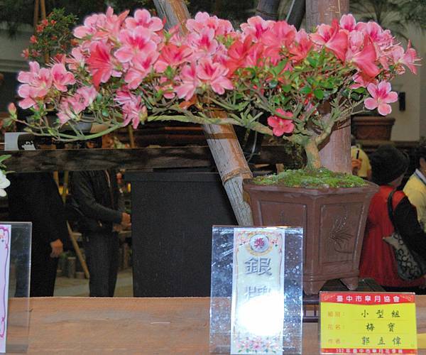 DSC_8294.jpg DSC_8294.jpg