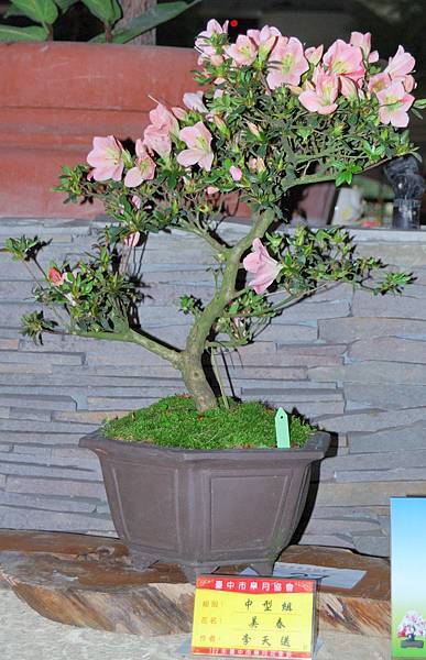 DSC_8296.jpg DSC_8296.jpg