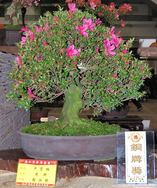 DSC_8298.jpg DSC_8298.jpg