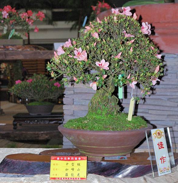 DSC_8297.jpg DSC_8297.jpg