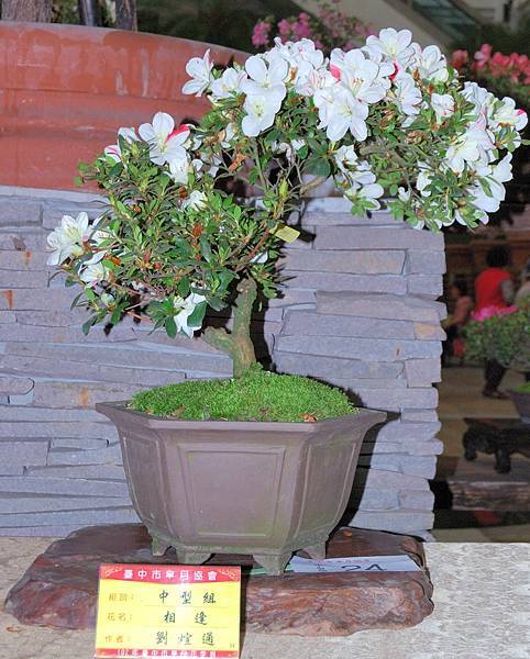 DSC_8299.jpg DSC_8299.jpg