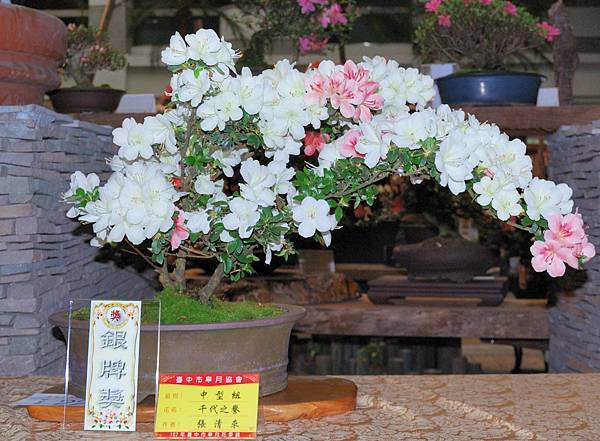 DSC_8301.jpg DSC_8301.jpg