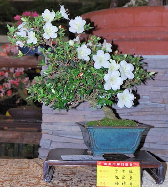 DSC_8300.jpg DSC_8300.jpg