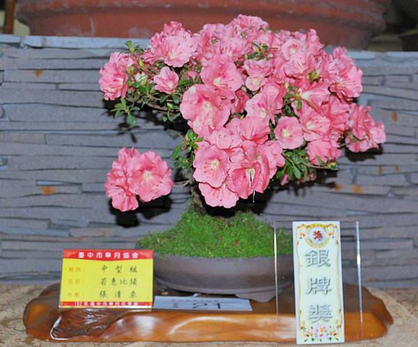 DSC_8302.jpg DSC_8302.jpg