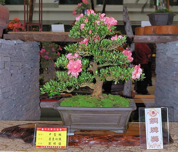 DSC_8305.jpg DSC_8305.jpg