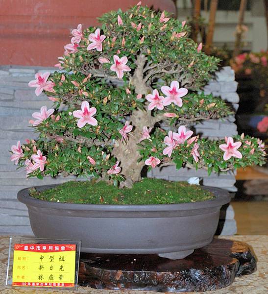 DSC_8304.jpg DSC_8304.jpg