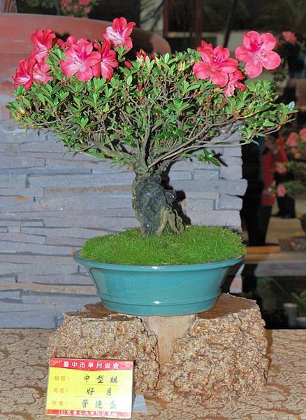 DSC_8306.jpg DSC_8306.jpg