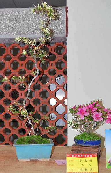 DSC_8307.jpg DSC_8307.jpg