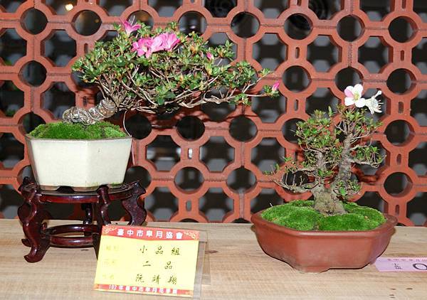 DSC_8308.jpg DSC_8308.jpg