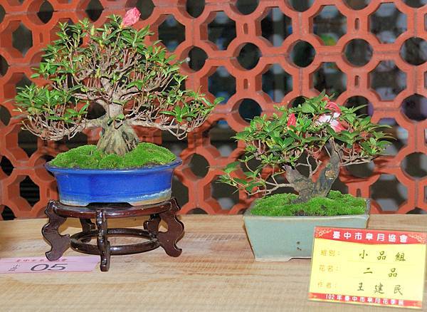 DSC_8309.jpg DSC_8309.jpg