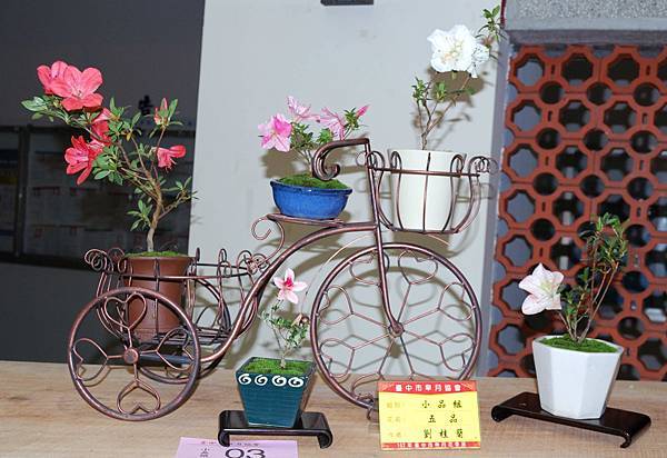 DSC_8311.jpg DSC_8311.jpg