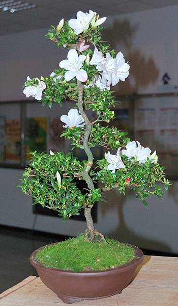 DSC_8310.jpg DSC_8310.jpg