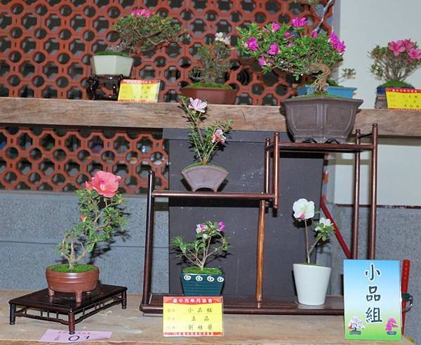 DSC_8313.jpg DSC_8313.jpg