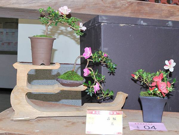 DSC_8312.jpg DSC_8312.jpg