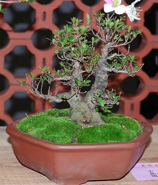 DSC_8317.jpg DSC_8317.jpg