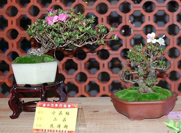 DSC_8316.jpg DSC_8316.jpg