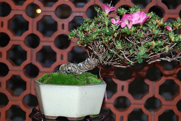 DSC_8318.jpg DSC_8318.jpg