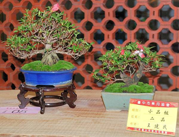 DSC_8319.jpg DSC_8319.jpg