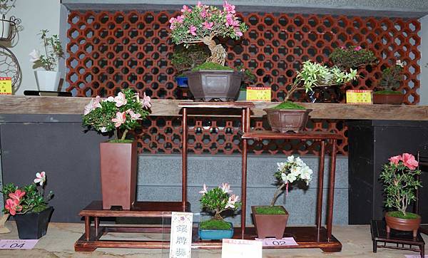 DSC_8322.jpg DSC_8322.jpg