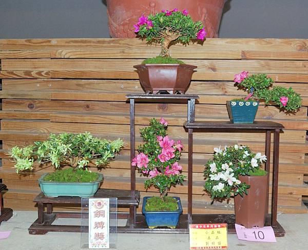 DSC_8325.jpg DSC_8325.jpg