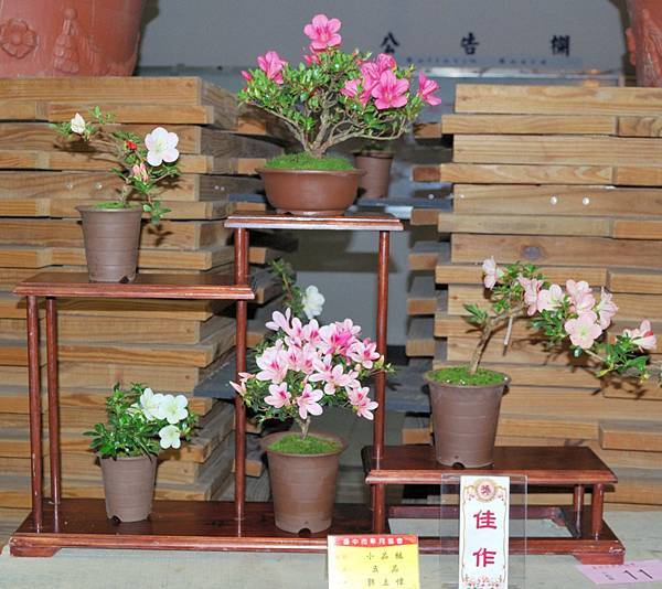 DSC_8324.jpg DSC_8324.jpg