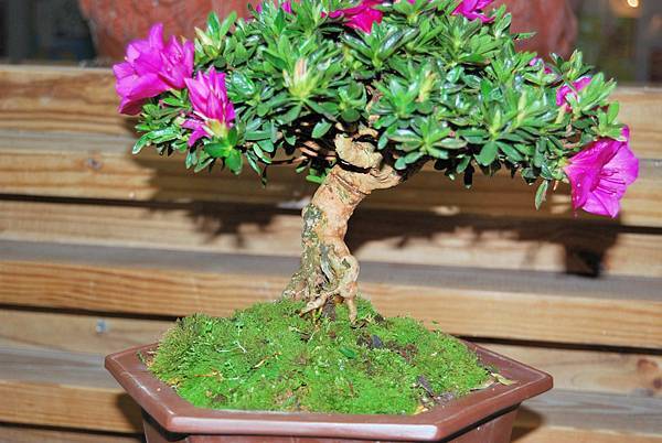 DSC_8326.jpg DSC_8326.jpg