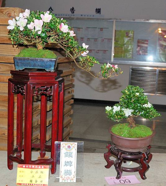 DSC_8328.jpg DSC_8328.jpg