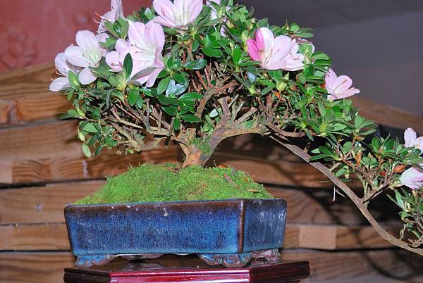 DSC_8329.jpg DSC_8329.jpg