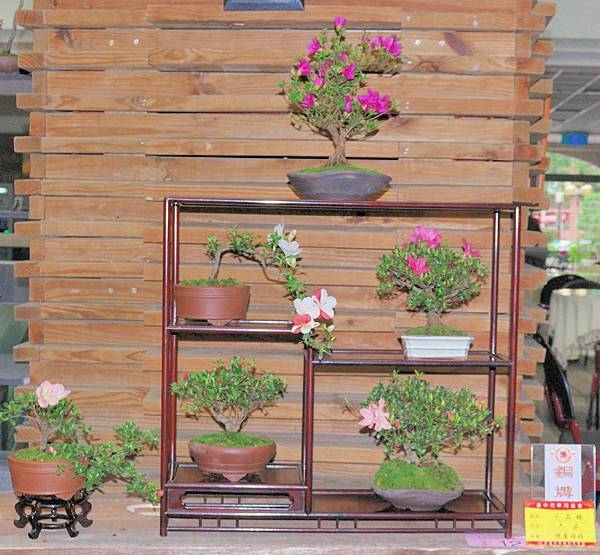 DSC_8330.jpg DSC_8330.jpg