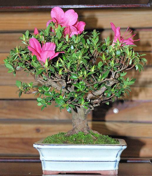 DSC_8332.jpg DSC_8332.jpg