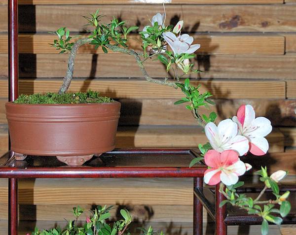 DSC_8336.jpg DSC_8336.jpg