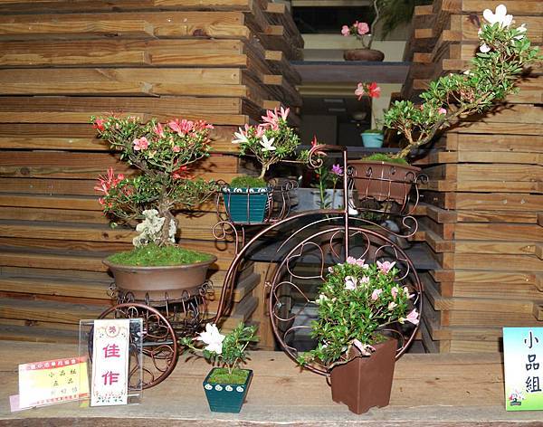 DSC_8339.jpg DSC_8339.jpg