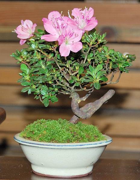 DSC_8345.jpg DSC_8345.jpg