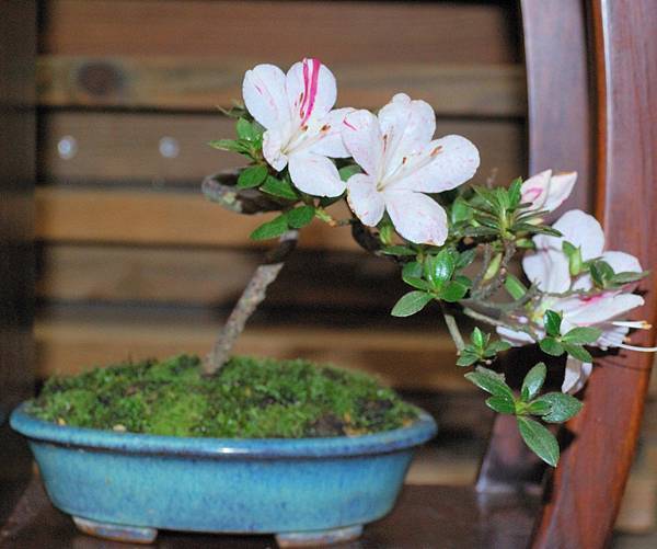 DSC_8344.jpg DSC_8344.jpg