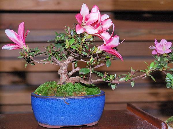 DSC_8346.jpg DSC_8346.jpg