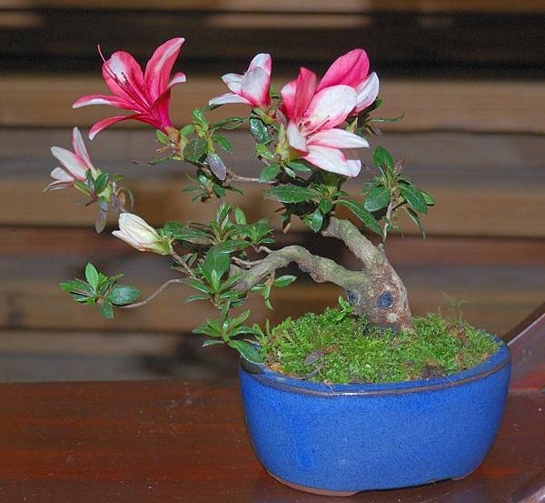 DSC_8349.jpg DSC_8349.jpg