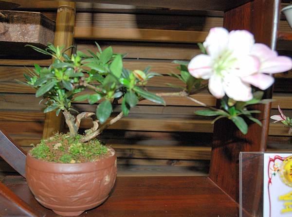 DSC_8348.jpg DSC_8348.jpg