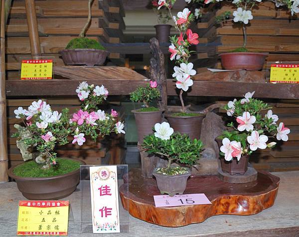 DSC_8350.jpg DSC_8350.jpg