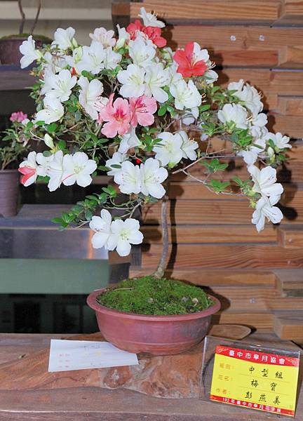 DSC_8351.jpg DSC_8351.jpg