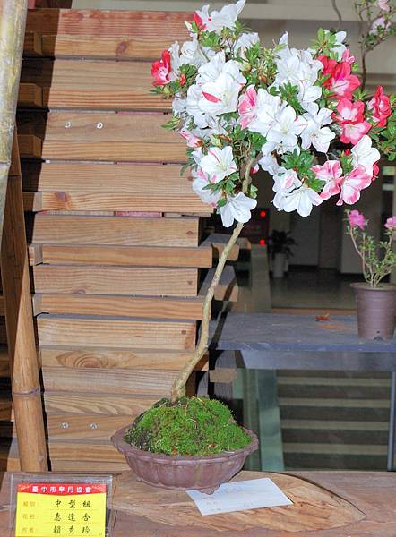 DSC_8352.jpg DSC_8352.jpg