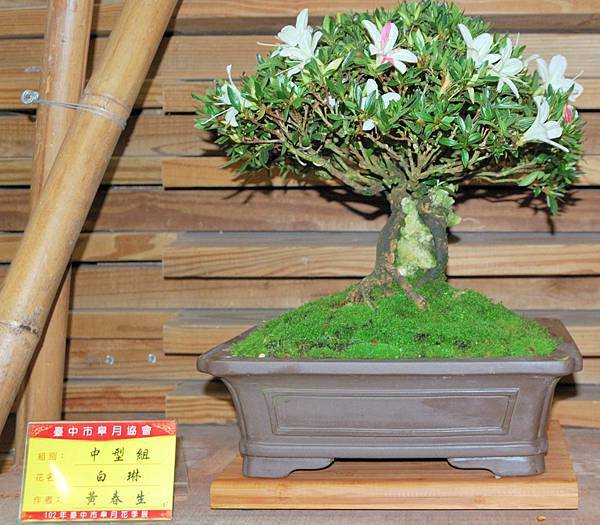 DSC_8356.jpg DSC_8356.jpg