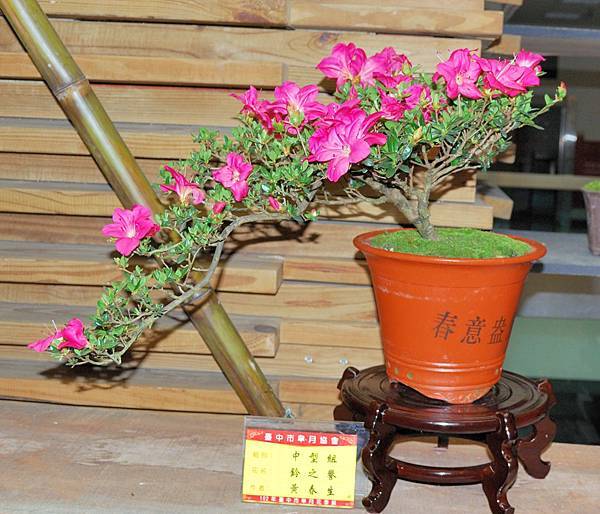 DSC_8355.jpg DSC_8355.jpg