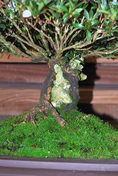 DSC_8357.jpg DSC_8357.jpg