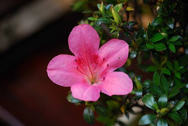 DSC_8370.jpg DSC_8370.jpg