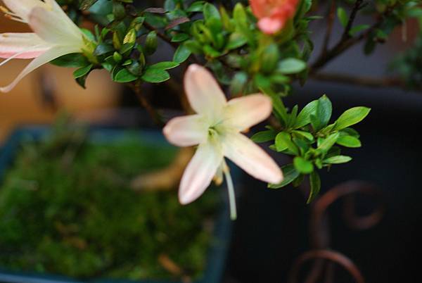 DSC_8373.jpg DSC_8373.jpg