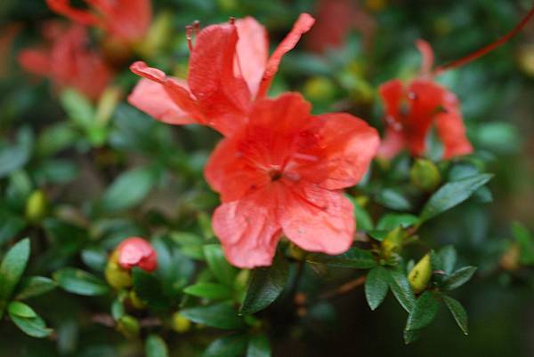 DSC_8376.jpg DSC_8376.jpg