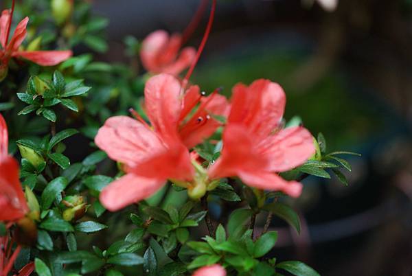 DSC_8375.jpg DSC_8375.jpg