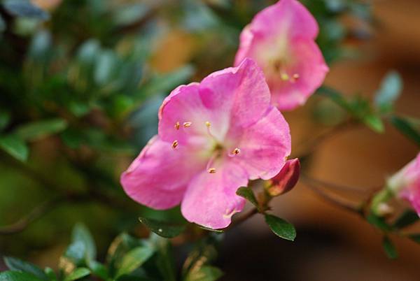 DSC_8381.jpg DSC_8381.jpg