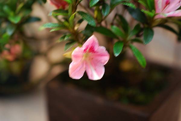 DSC_8380.jpg DSC_8380.jpg